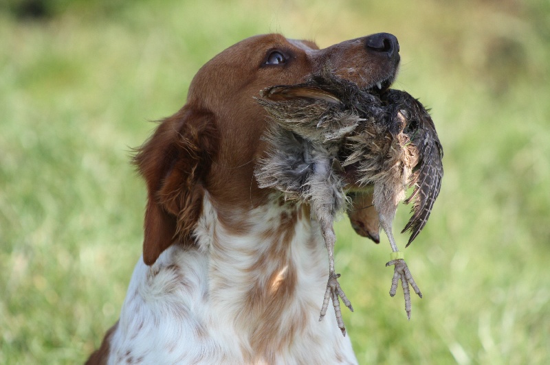 Fidji Des Tilleuls De Saint Georges